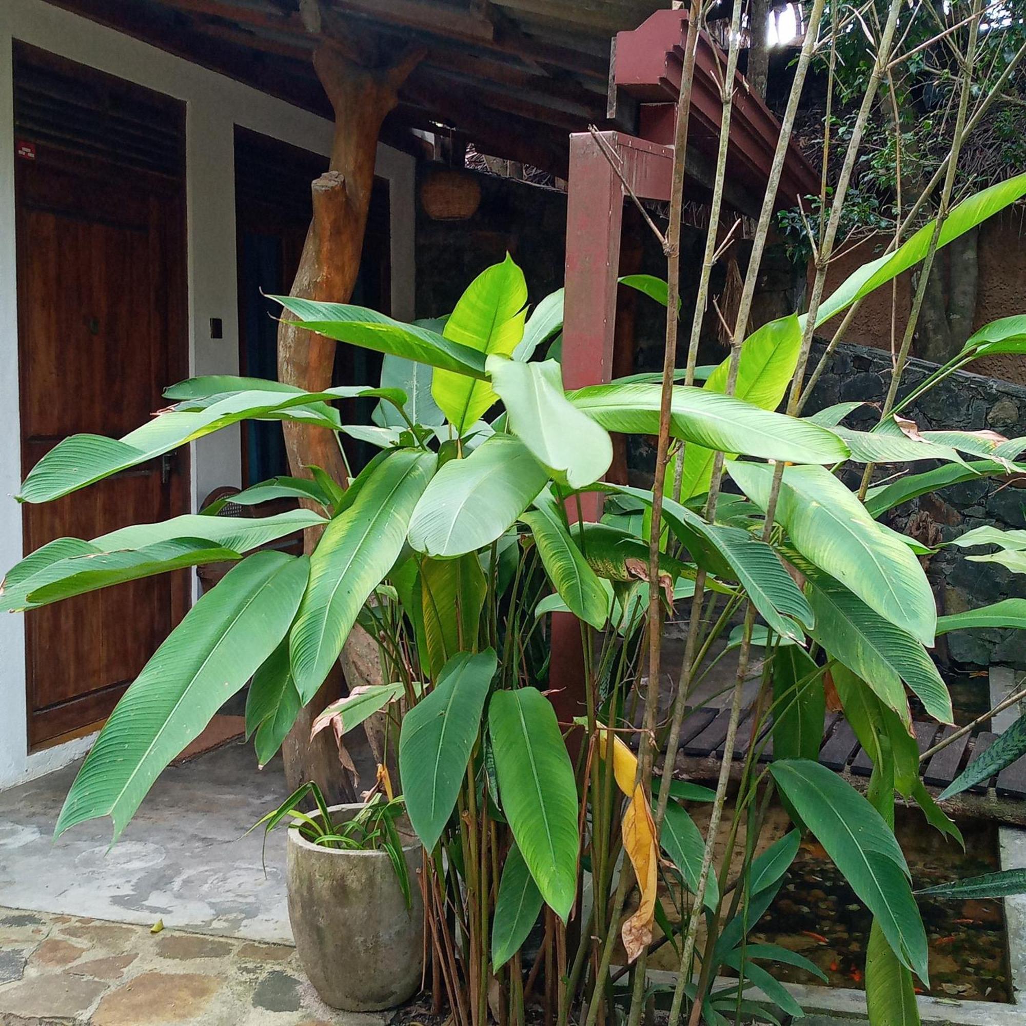 Cinnabar Resort Tangalle Ngoại thất bức ảnh