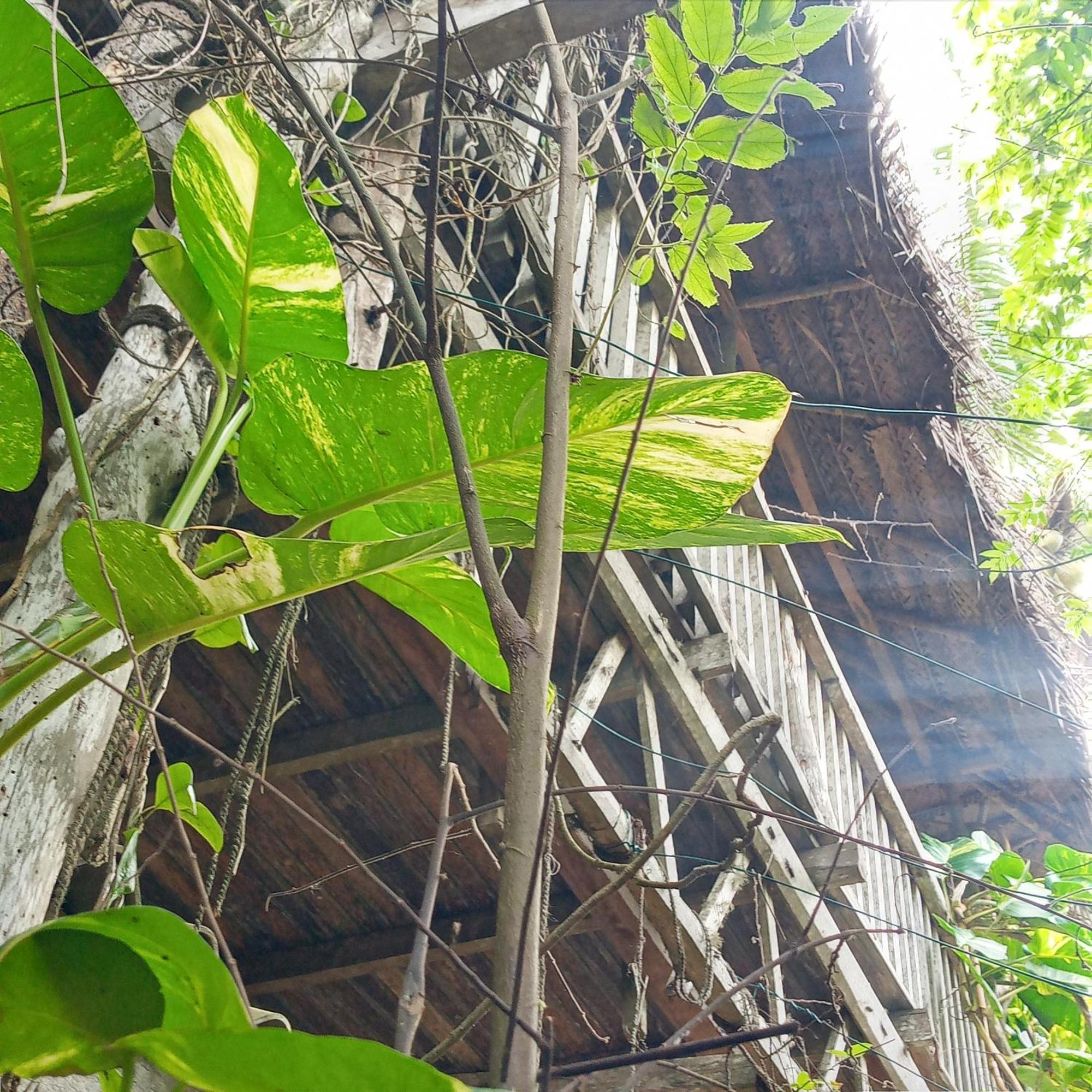 Cinnabar Resort Tangalle Ngoại thất bức ảnh