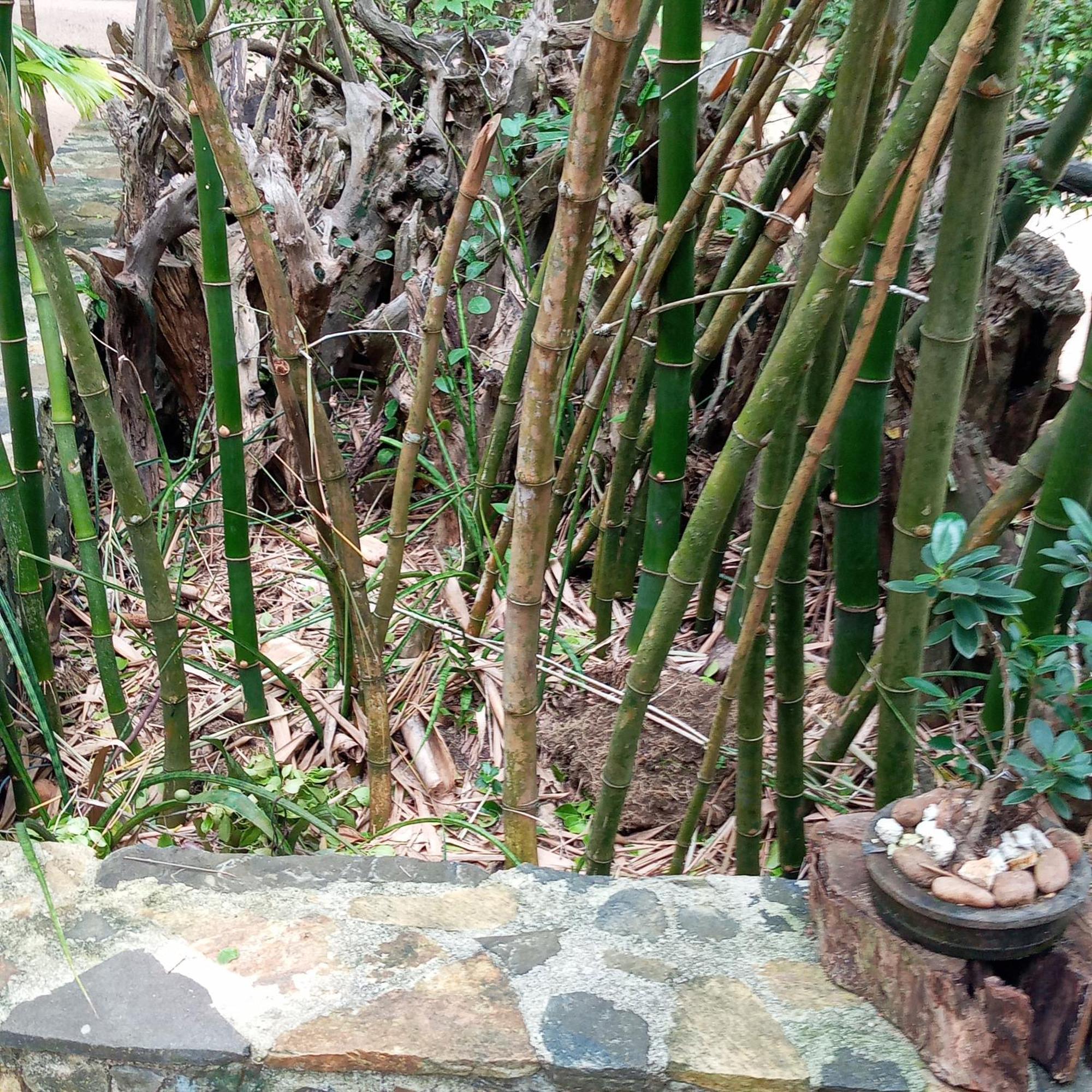 Cinnabar Resort Tangalle Ngoại thất bức ảnh
